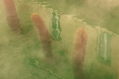 Acqui Terme natural bath, ancient romanic spaの写真素材