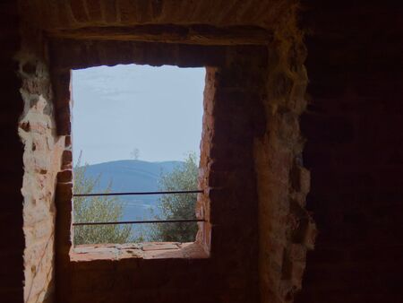 tree on top of a hill seen through a windowの写真素材