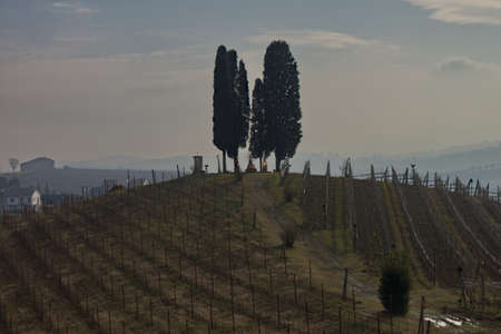 Castelnuovo Calcea, Italy - jan 2020: Art Park La courtのeditorial素材