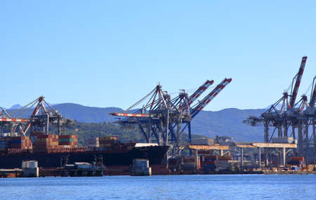 Crane liftscontainer of the port of LaSpezia, Italy.