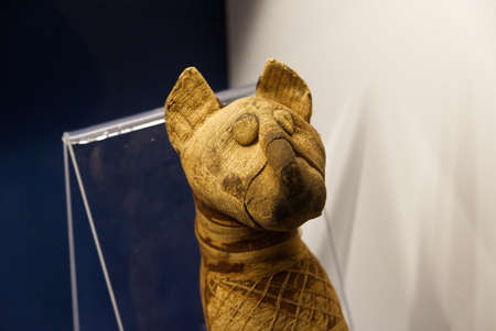 Egyptian Museum, Italy - february 2021: mummy of a cat for a ritual sacrificeのeditorial素材
