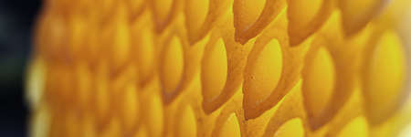 closeup pattern perspective of a crazy italian pasta composition with backlightの写真素材