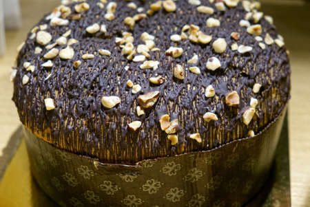 Christmas concept: a chocolate glazed panettone with chopped hazelnuts, a typical Italian dessert