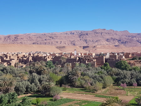 A city with mountains in the backgroundの写真素材