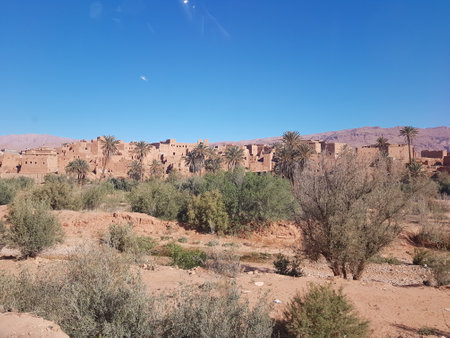 A vast desert landscape featuring trees in the backgroundの写真素材