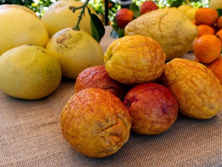 citrus fruits with leaves on a wooden tableの写真素材
