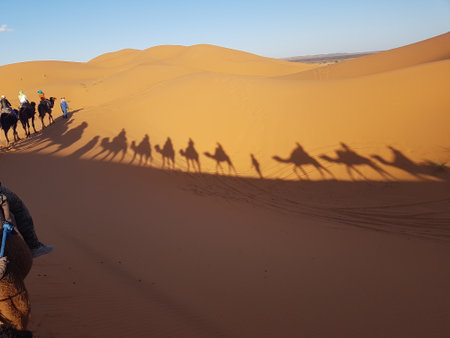 A diverse group of people are happily riding camels in the vast desertの写真素材