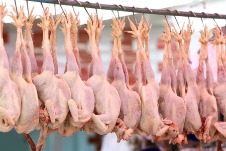 Row of chickens on the marketの写真素材