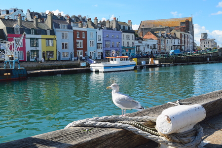 Custom House Quay at Weymouth Harbour.の写真素材