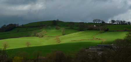 Farmland in Blackdown Hill AONB (Area of Outstanding Natural Beauty) in Devon, England