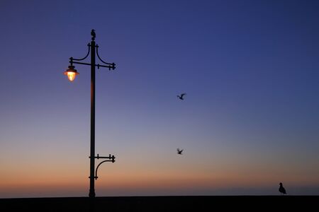Lamp post at dawn with seagulls in flightの写真素材