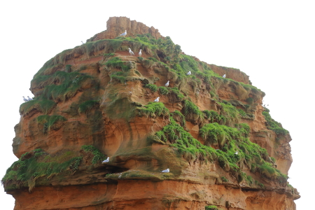 Sea stack in Ladram Bay on the Jurassic Coast natural .の写真素材