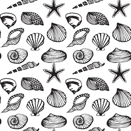 Seamless vector pattern of sea shells on a white background, painted by hand.のイラスト素材