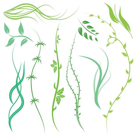  Leaf Elements - Illustrationのイラスト素材