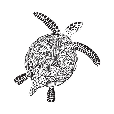 Sea turtle. Hand drawn vector illustration. Turtle isolated on white backgroundのイラスト素材