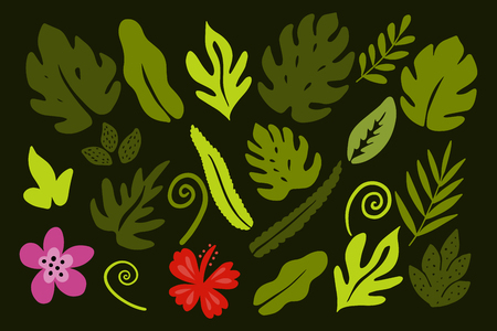 Different tropical leaves on green background.のイラスト素材
