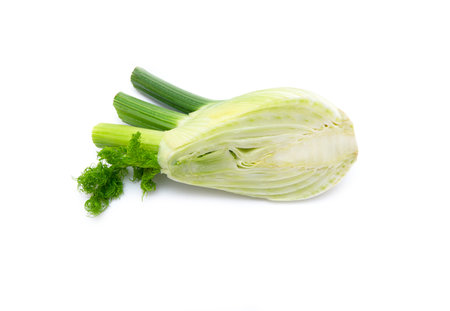 Raw Fennel. Fresh Fennel Bulb isolated on white Background, top View, close-upの写真素材
