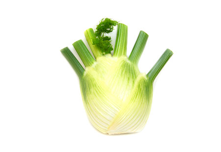 Raw Fennel. Fresh Fennel Bulb isolated on white Background, top View, close-upの写真素材
