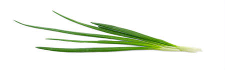 Fresh green onion, raw leaves of onion isolated on white background, top viewの写真素材