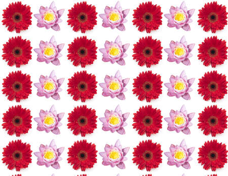 Flower seamless pattern isolated on white, seamless texture or backgroundの写真素材
