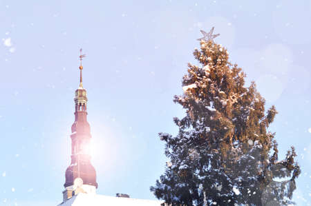 Christmas tree at Town Hall Square in Tallinn, snowy winter day in Tallinn, Estoniaの写真素材