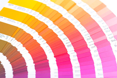 Paper color palette, palette guide as yellow, orange, pink, red color, top viewのeditorial素材