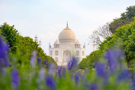 Amazing Taj Mahal mosque in Agra, Indiaの写真素材