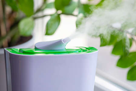 Close-up of steam from humidifier, green flower at a roomの写真素材
