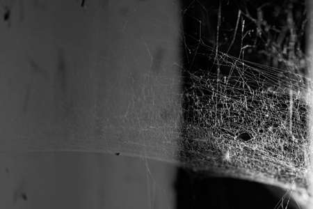 Natural cobweb in a corner of abandoned house, room with dirty wall and window, black and white...
