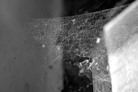Natural cobweb in a corner of abandoned house, room with dirty wall and window, black and white pictureの写真素材
