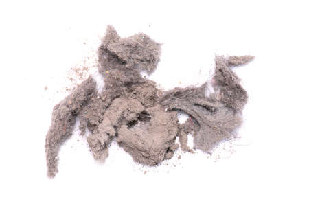 Dirty Dust from Vacuum cleaner, real Dust isolated on white Background as Textureの写真素材