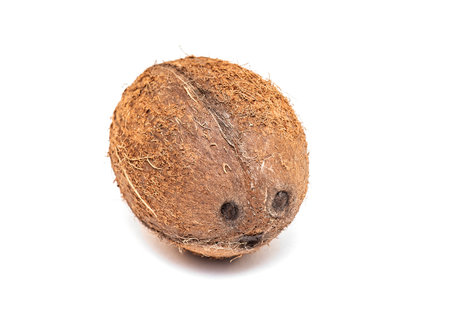 Real Coconut isolated on White Backgroundの写真素材