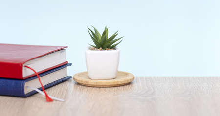 Minimal business composition with plant and diary on wooden deskの写真素材