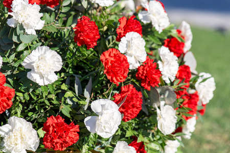 Close-up of funeral wreath with red and whitr carnations at a cemeteryの写真素材