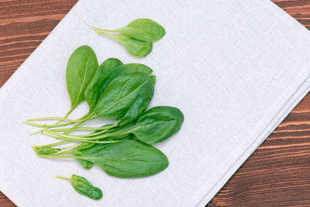 Fresh green spinach and tablecloth on wooden table at a kitchen, top viewの写真素材