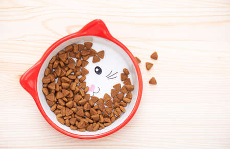 Red ceramic bowl fith dry pet nutrition, food. Brown food for Cat in the bowl on wooden surface, top viewの写真素材