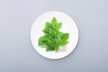 Green basil leaves on a white ceramic plate. Still life with minimal composition. Seasoning on a plate. Top viewの写真素材