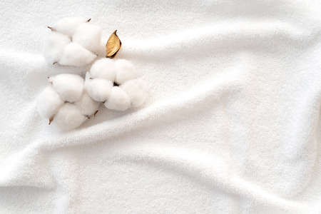 Cotton flowers on surface of white terry towel. Clean towel as texture or background. Top view.の写真素材