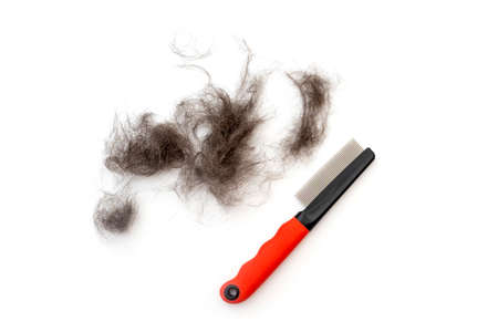 Heap of black fur and groomer or furminator for remove animal fur isolated on whiteの写真素材