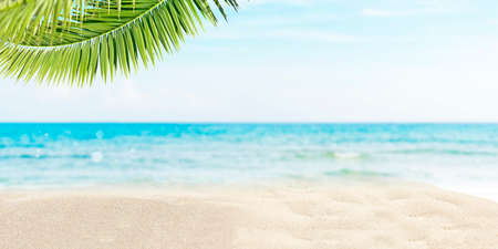 Summer beach background with white sand, blue sea and palm treeの写真素材