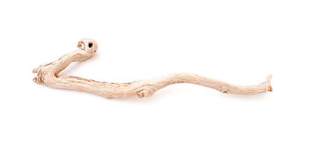 Wooden curved snag stick isolated on white, top viewの写真素材