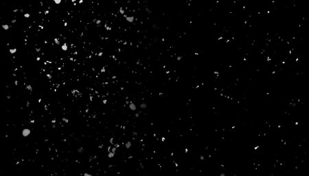 Snowfall, heavy snow, seasonal texture on black background as overlayの写真素材