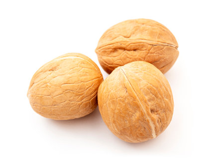 Close-up of three whole walnuts isolated on white, side viewの写真素材