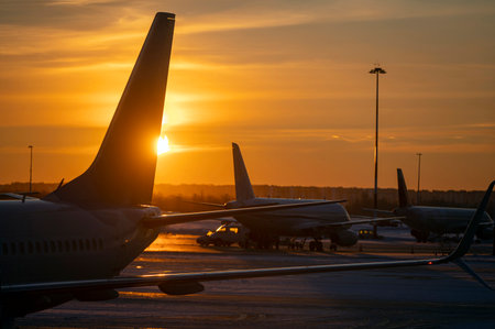 Silhouettes of the airplanes with Tails at airport during bright yellow sunset, concept picture about transport as backgroundの写真素材