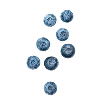 Wild sweet blueberry, berries falling and flying in the air isolated on whiteの写真素材