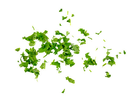 Chopped cilantro leaves as green seasoning flying, falling isolated on white background, clipping pathの写真素材