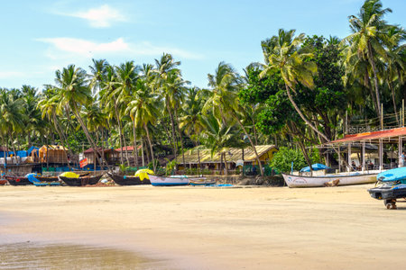 PALOLEM GOA - Beach with Coconut palm trees in Palolem South Goa on September 22. 2023 in India.のeditorial素材