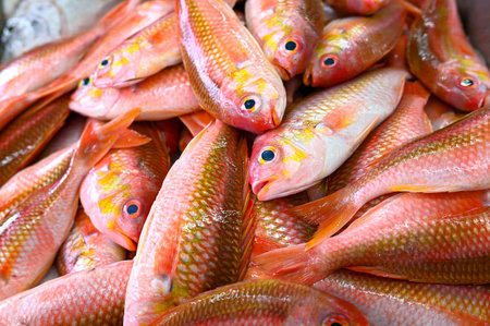 Heap of red raw Mullus barbatus at a Fish market, top view