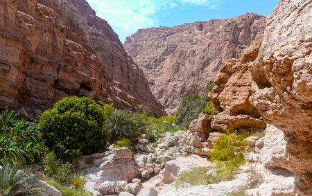 Panoramic view of Wadi Shab canyon in Omanの写真素材