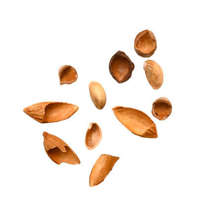 Cracked empty nutshell pistachio, hazelnut, almond isolated on white, clipping pathの写真素材
